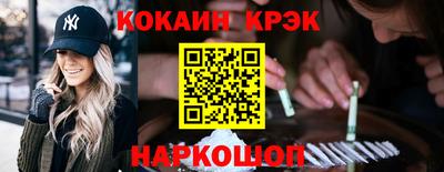 гашик Моздок