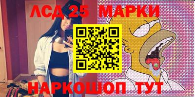 гашик Моздок