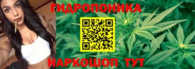 меф Можга