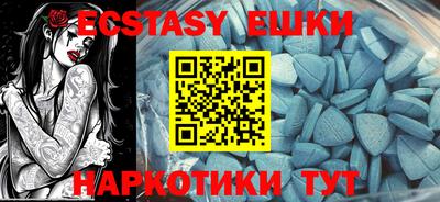 гашик Моздок