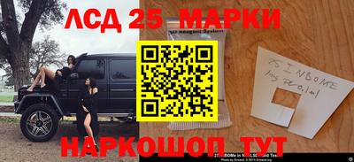 гашик Моздок