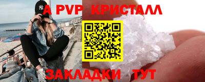 гашик Моздок