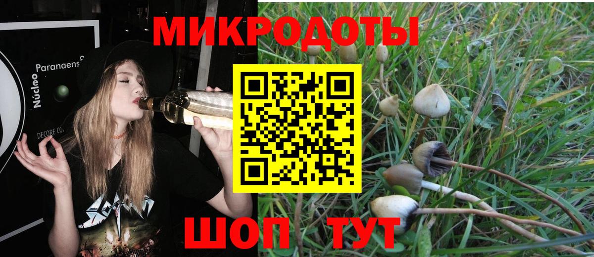 Галлюциногенные грибы GOLDEN TEACHER  продажа наркотиков  Сердобск  Вход с VPN 